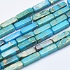 Natural Aqua Terra Jasper Beads Strands G-E444-15A-1