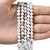 Natural Howlite Beads Strands G-Z119-A43-01-2