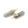 Natural Labradorite Pointed Pendants G-G025-01G-38-3