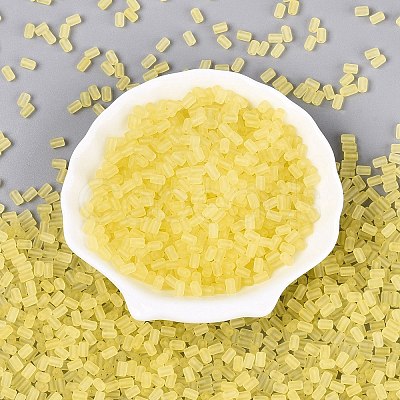 FGB Frosted Transparent Glass Seed Beads SEED-N013-05A-02-1