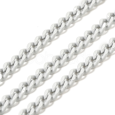 Spray Painted 304 Stainless Steel Curb Chains STAS-B067-05A-09-1