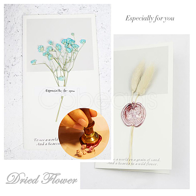 DIY Scrapbook AJEW-CP0002-26-91-1