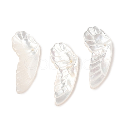 Natural White Shell Carved Pendants SSHEL-I026-07A-1