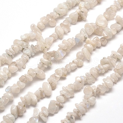 Natural Rainbow Moonstone Chip Bead Strands X-G-M205-62-1