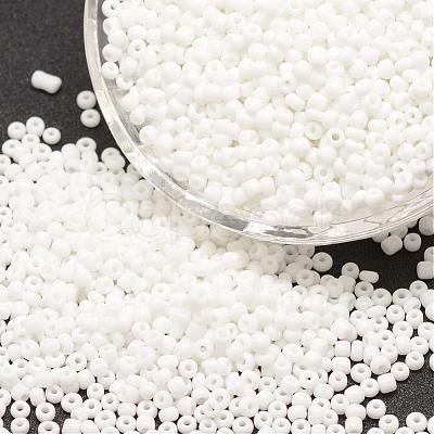 8/0 Glass Seed Beads SEED-J014-F8-41-1