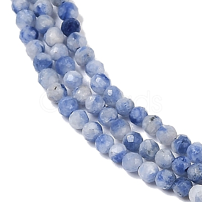 Natural Blue Spot Jasper Beads Strands G-A252-A02-01-1