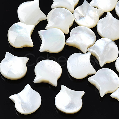 Natural White Shell Beads SSHEL-S258-99B-1