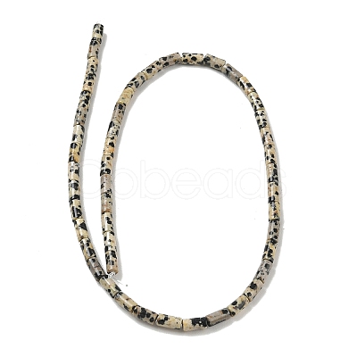 Natural Dalmatian Jasper Beads Strands G-B091-A19-01-1