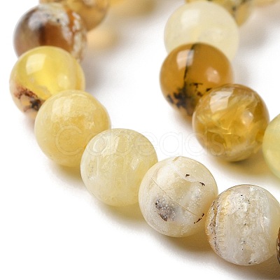 Natural Yellow Opal Beads Strands G-Q1001-A02-01-1