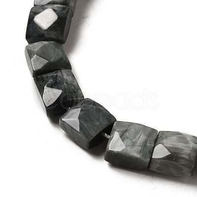 Natural Eagle Eye Stone Beads Strands G-C109-A15-02-1