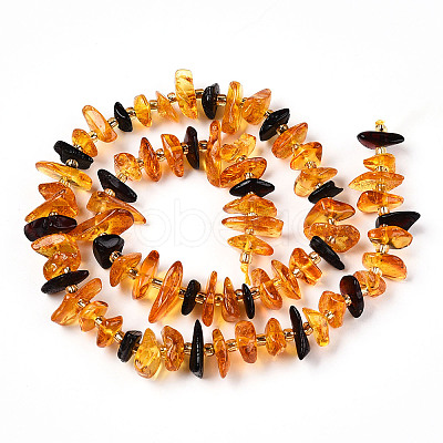 Natural Amber Beads Strands G-T138-237-1