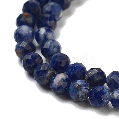 Natural Sodalite Beads Strands G-B088-C03-04-1