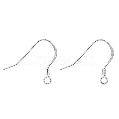 925 Sterling Silver Earring Hooks STER-K167-049C-S-1