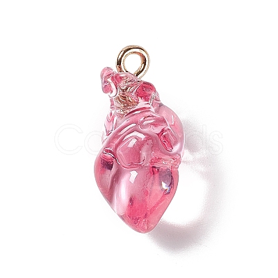 Transparent Resin Pendants RESI-E028-01G-06-1