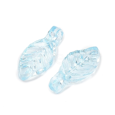 Transparent Acrylic Charms OACR-G054-02E-1
