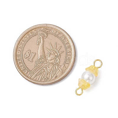 Baking Paint Pearlized Glass Pearl & Acrylic Flower Connector Charms PALLOY-JF04299-02-1