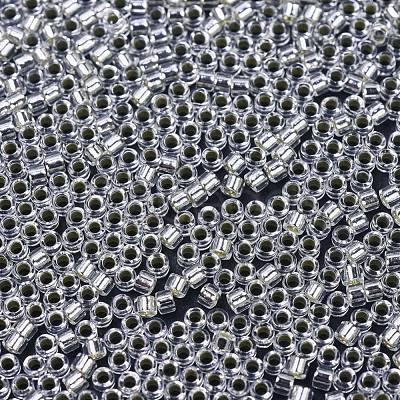 MIYUKI Delica Beads SEED-X0054-DB0041-1