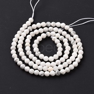 Natural Howlite Beads Strands G-H273-02B-1