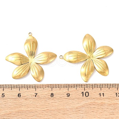 304 Stainless Steel Pendants STAS-A133-02C-G-1