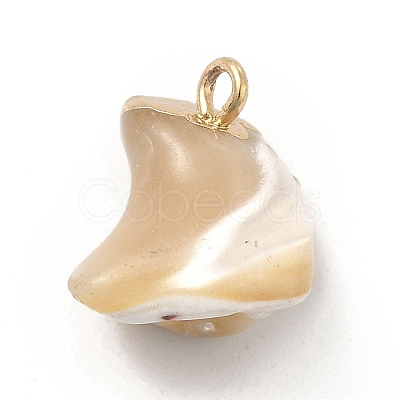 Baroque Natural Trochus Shell Pendants PEAR-P004-51KCG-1