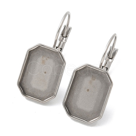 304 Stainless Steel Leverback Earring Finding STAS-C117-12A-P-1
