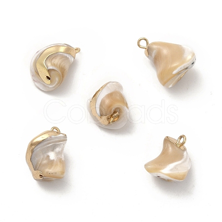 Baroque Natural Trochus Shell Pendants PEAR-P004-51KCG-1