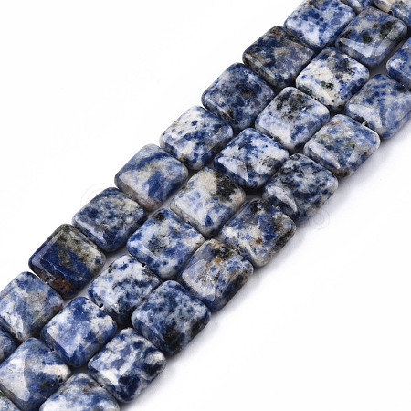 Natural Blue Spot Jasper Beads Strands G-N326-140G-1