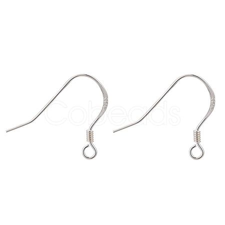 925 Sterling Silver Earring Hooks STER-K167-049C-S-1
