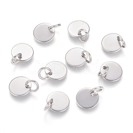 Non-Tarnish 304 Stainless Steel Charms STAS-I124-01C-P-1