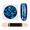 Nail Art Glitter Flakes, Starry Sky/Mirror Effect, Iridescent Glitter Flakes, with One Brush, Royal Blue, 30x30x17mm, about 0.3g/box