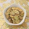 Ornament Accessories Plastic Paillette/Sequins Charms X-PVC-E001-09-LS01-4
