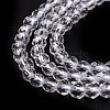 Transparent Glass Beads Strands GLAA-H021-04-29-5