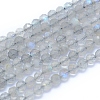 Natural Labradorite Beads Strands G-I279-E19-1