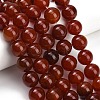 Natural Carnelian Beads Strands GG-CBA1CAF-A01-14mm-1