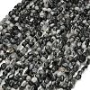 Natural Eagle Eye Stone Beads Strands G-D108-A02-04-2