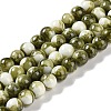 Baking Paint Glass Bead Strands GLAA-H031-01C-14-1