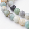 Natural Flower Amazonite Bead Strands G-G735-61-8mm-3