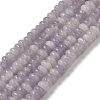 Natural Lepidolite/Purple Mica Stone Beads Strands G-K343-C03-02-1