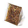 Orgonite Pyramid Resin Energy Generators DJEW-D013-04C-3
