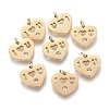 316 Surgical Stainless Steel Charms STAS-I164-036G-1