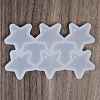 DIY Pendant Silicone Molds LS-DIY-A061-01C-4