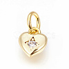 Brass Micro Pave Cubic Zirconia Charms ZIRC-F095-04G-1