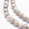 Electroplate Natural Sunstone Beads Strands G-K256-17-6mm-3