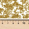 MIYUKI Delica Beads LS-X-SEED-J020-DB0665-3