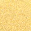 TOHO Round Seed Beads SEED-JPTR11-0902-2