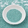 MIYUKI Delica Beads X-SEED-J020-DB1567-2