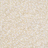 12/0 FGB Grade A Round Glass Seed Beads SEED-N001-E-436-2