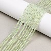 Natural Prehnite Beads Strands G-C255-B03-2mm-1