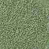 TOHO 11/0 Round Beads X-SEED-TR11-PF0560-2