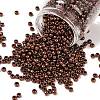 TOHO 6/0 Round Beads X-SEED-TR06-0222-1